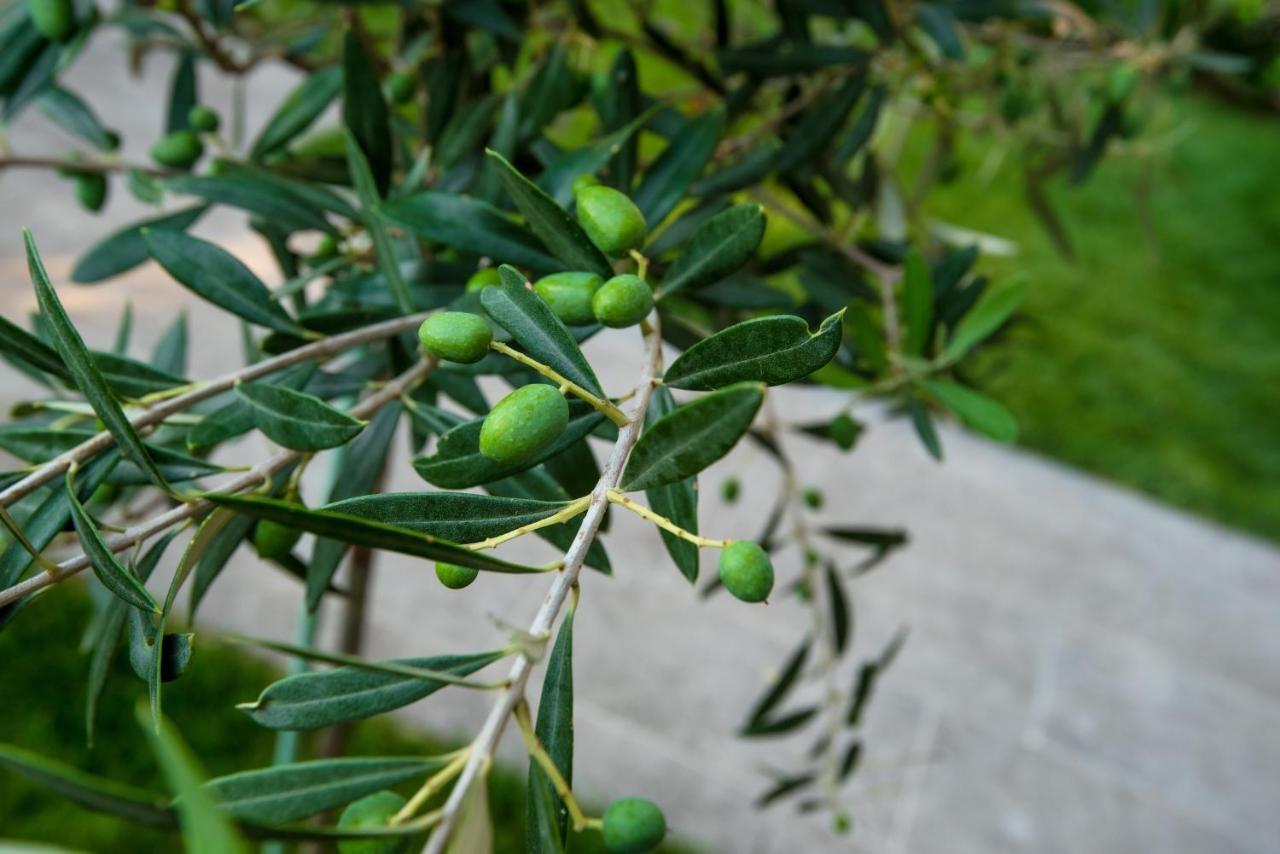 Olive 101 Apartman Peraía Kültér fotó